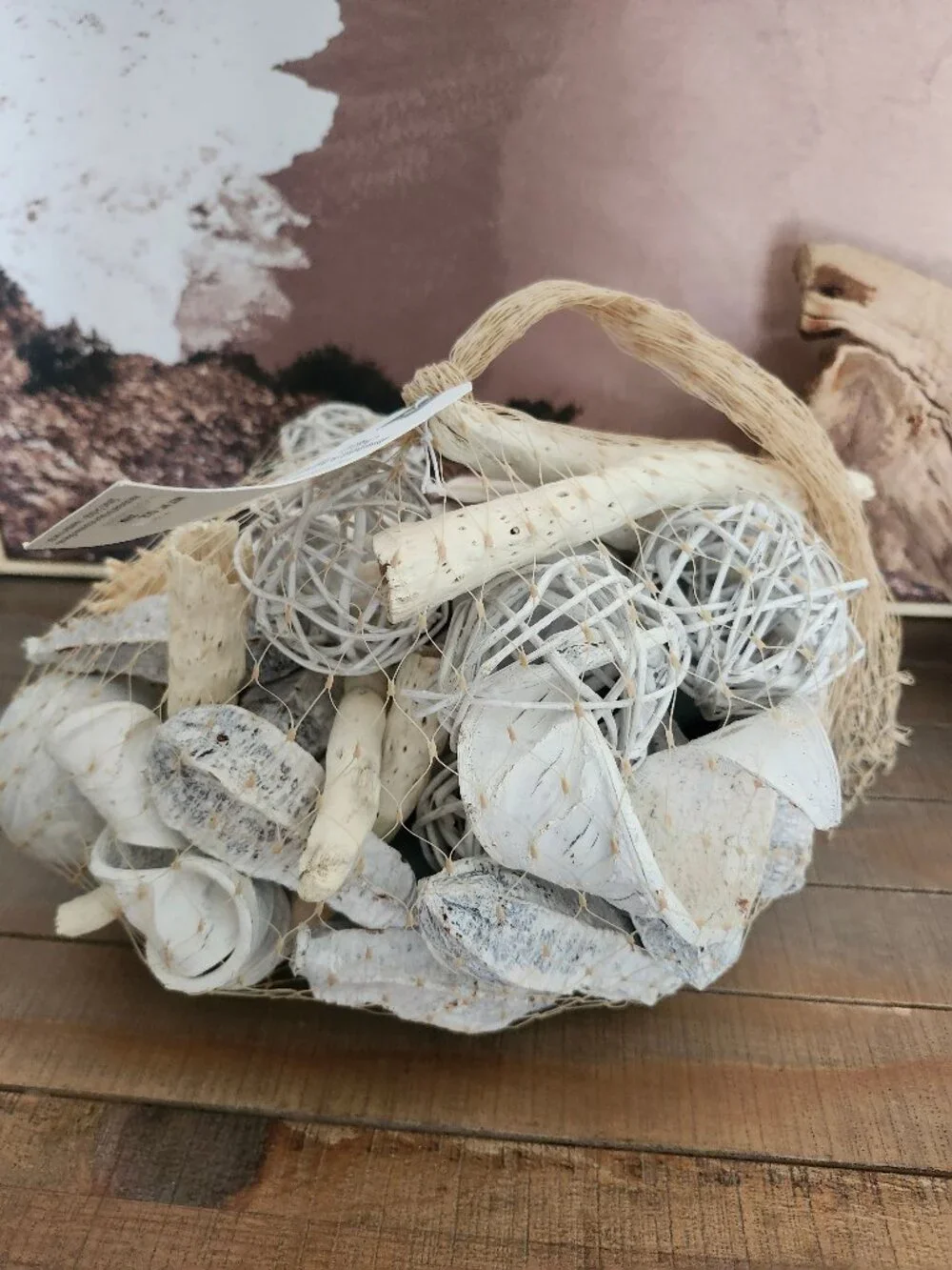 The Collection by Nature's Expressions Botanicals Beach Seashells Mix Decor NWT